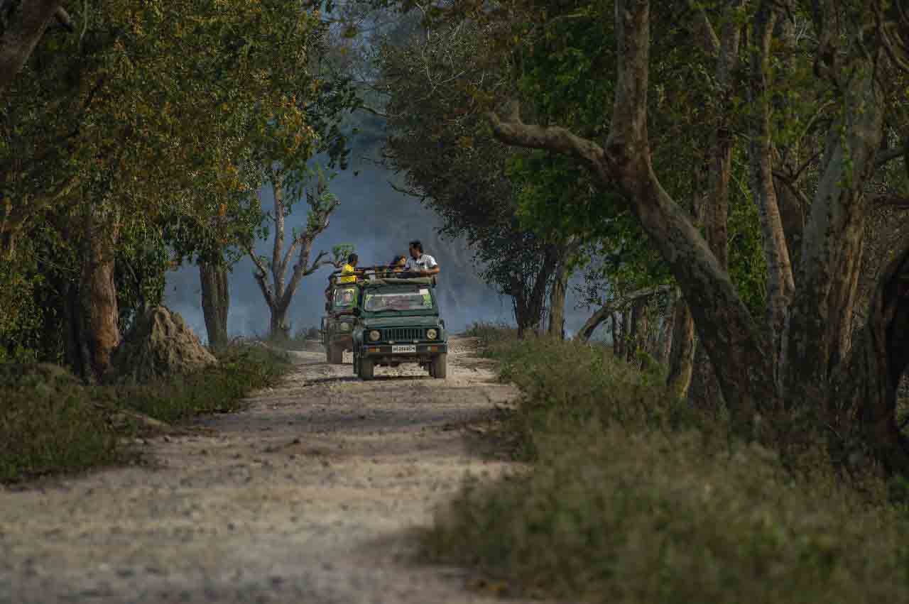 Jeep Safari