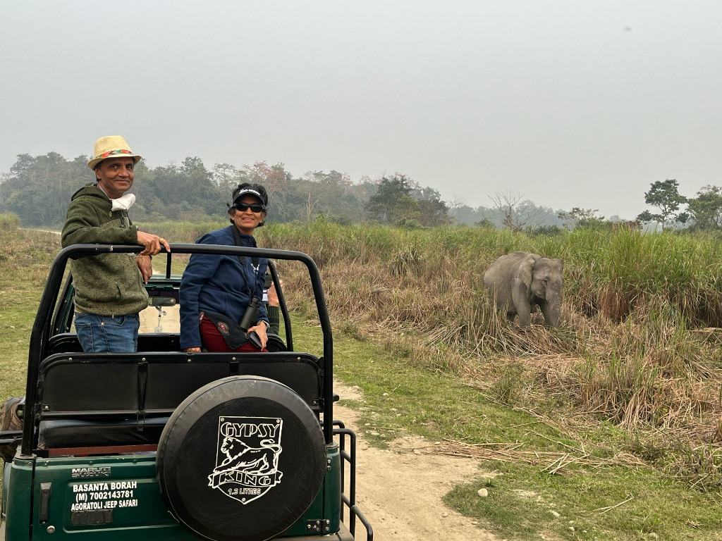 Tourists in an open-top gypsy safari posing with a wild elephant in the grasslands of Kaziranga