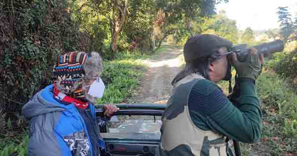 tourists in Jeep Safari in Kaziranga